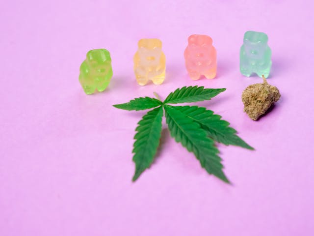 cannabis dispensary